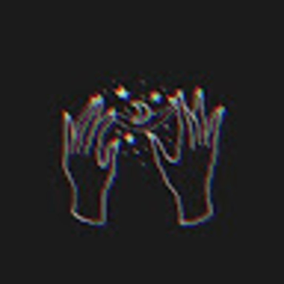 Meet your Posher, Raven - Picture 1 of 1